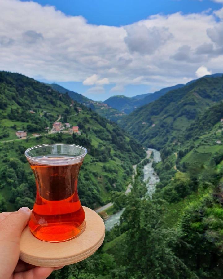 Puleri Suit Bungalow Çamlıhemşin Eksteriør bilde
